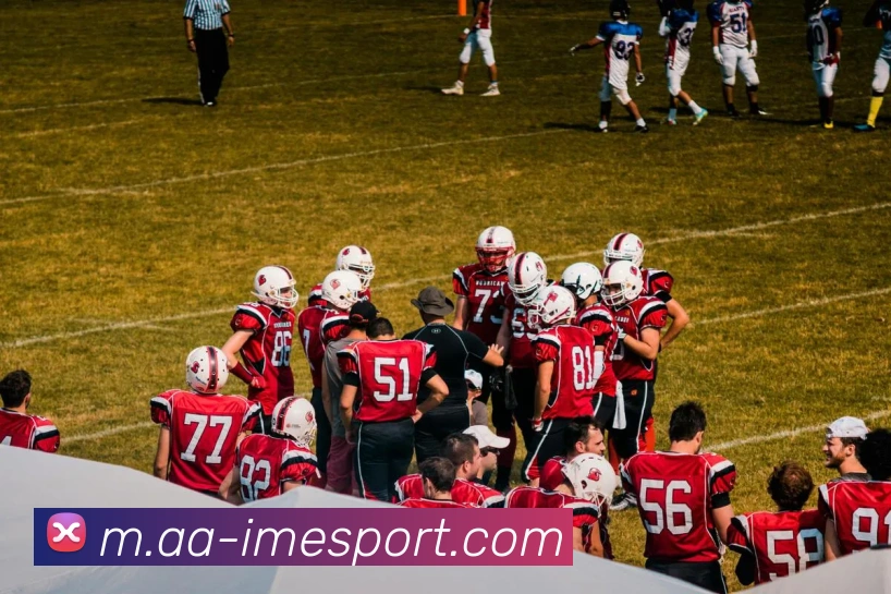 IM电竞平台生态图