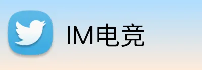 IM电竞 Logo