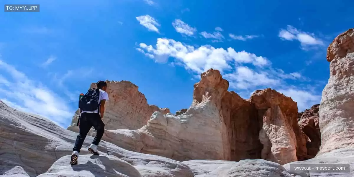 🏅 珍藏回忆，与偶像同行！🧢